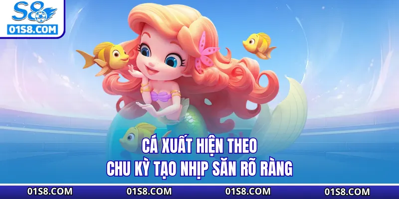 Cá xuất hiện theo chu kỳ tạo nhịp săn rõ ràng